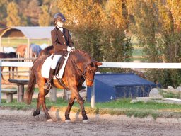 IMG_8115_web